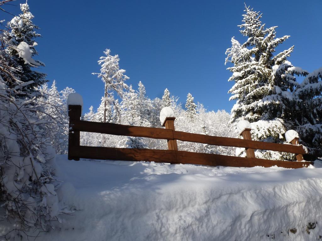 Erika Penzion Vysoke Tatry Exterior photo