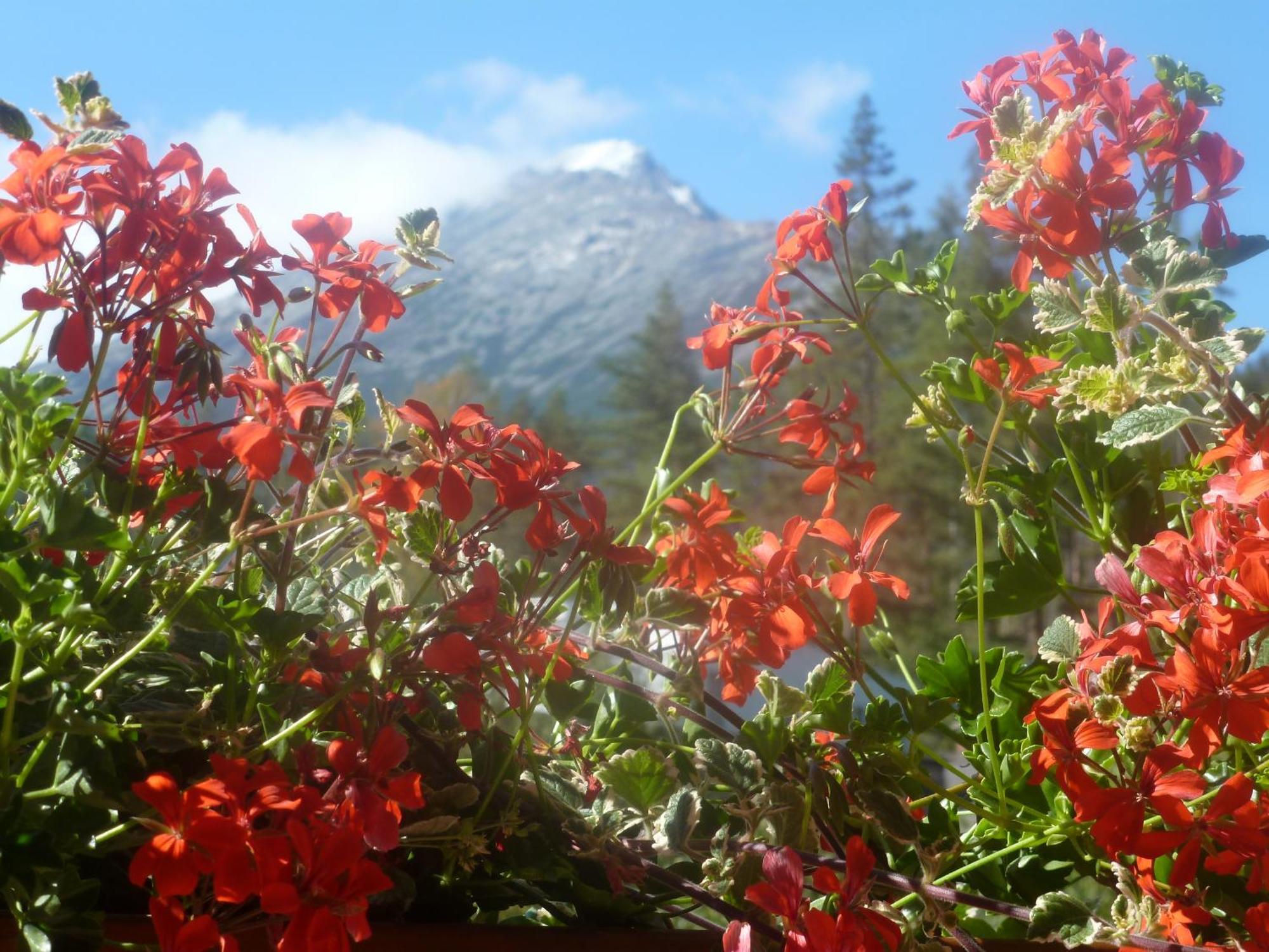Erika Penzion Vysoke Tatry Exterior photo